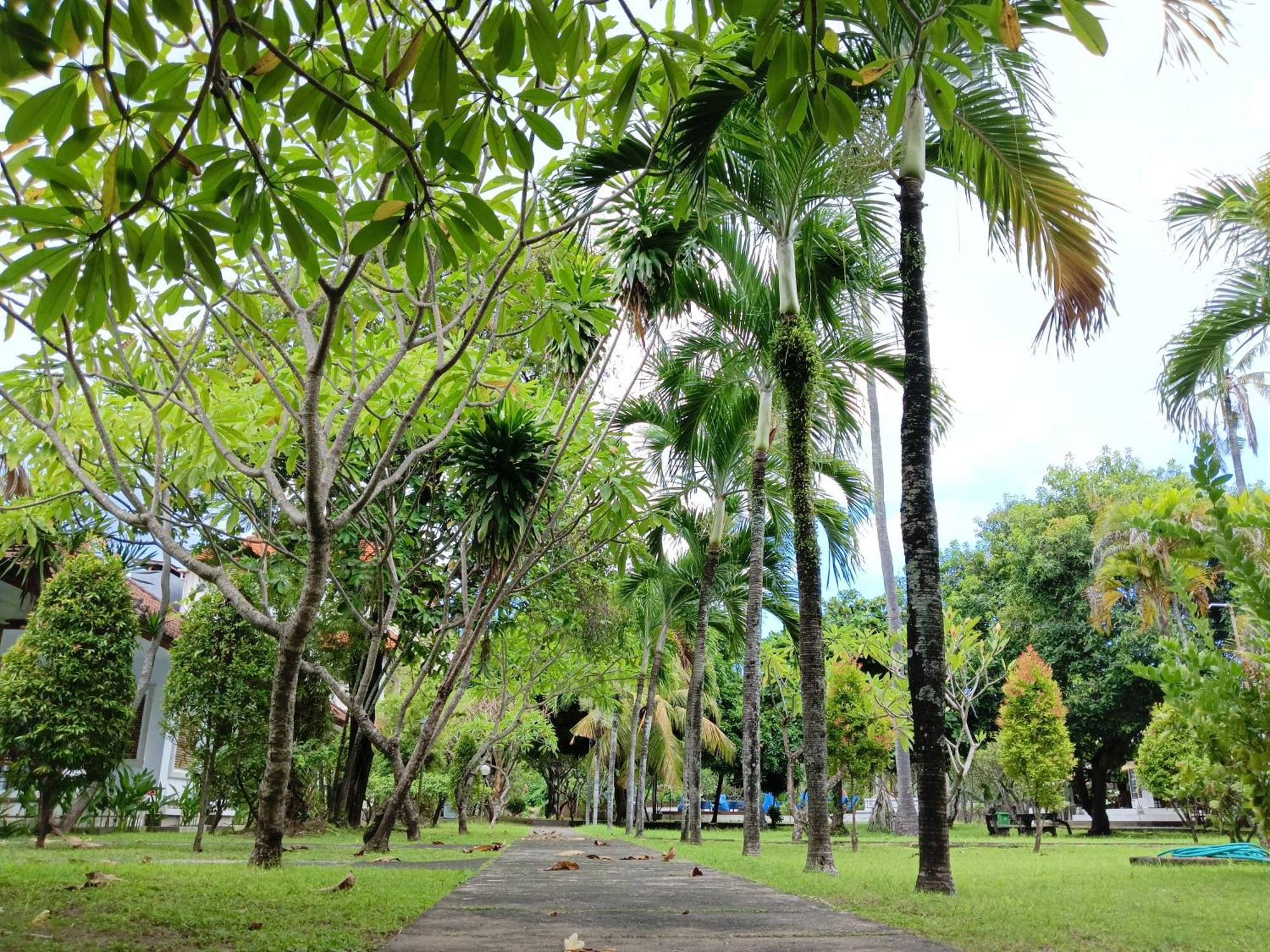 New Mekar Jaya Hotel Legian  Luaran gambar